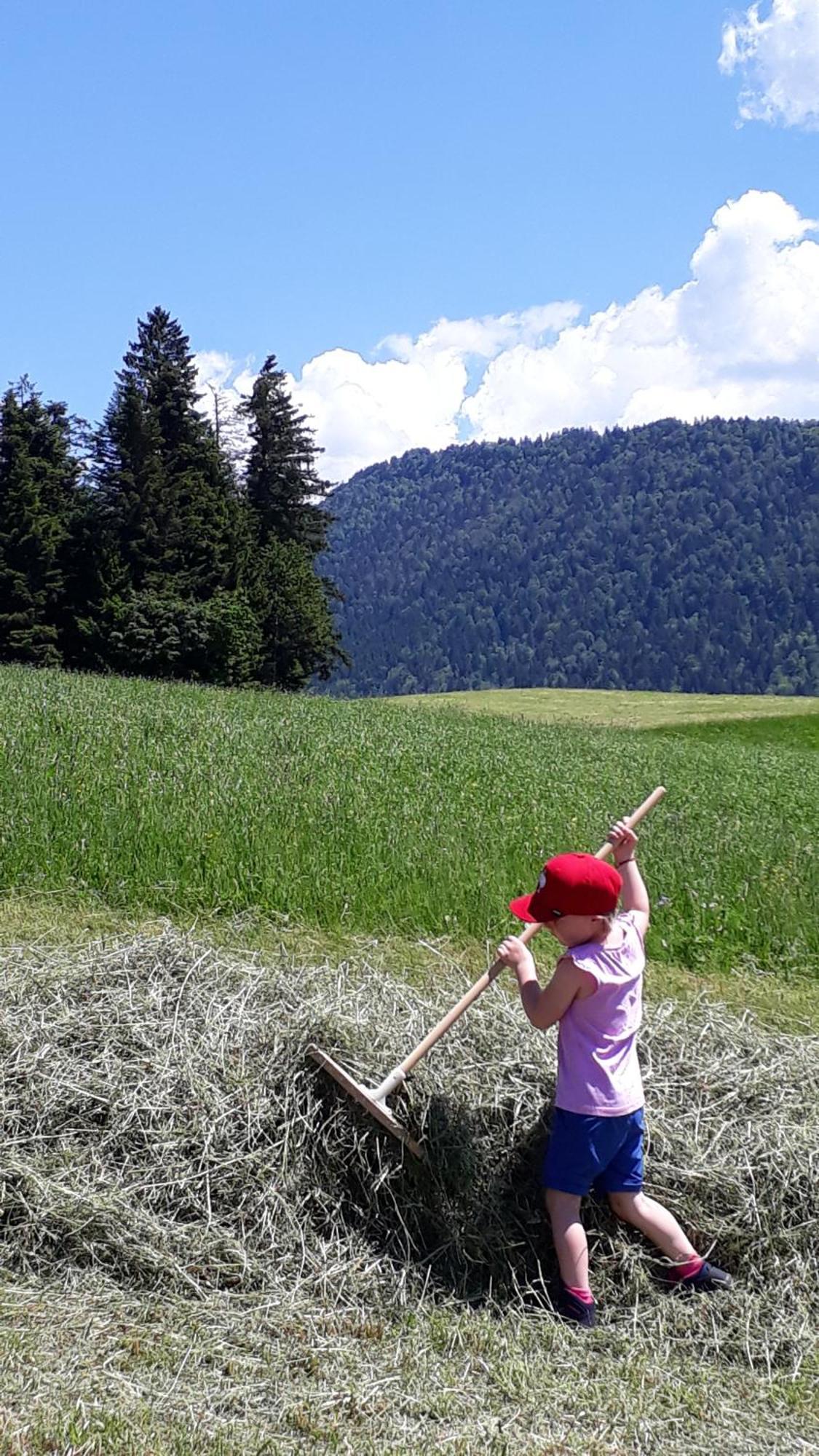 Ferienhof Dürlinde Hittisau Exterior foto