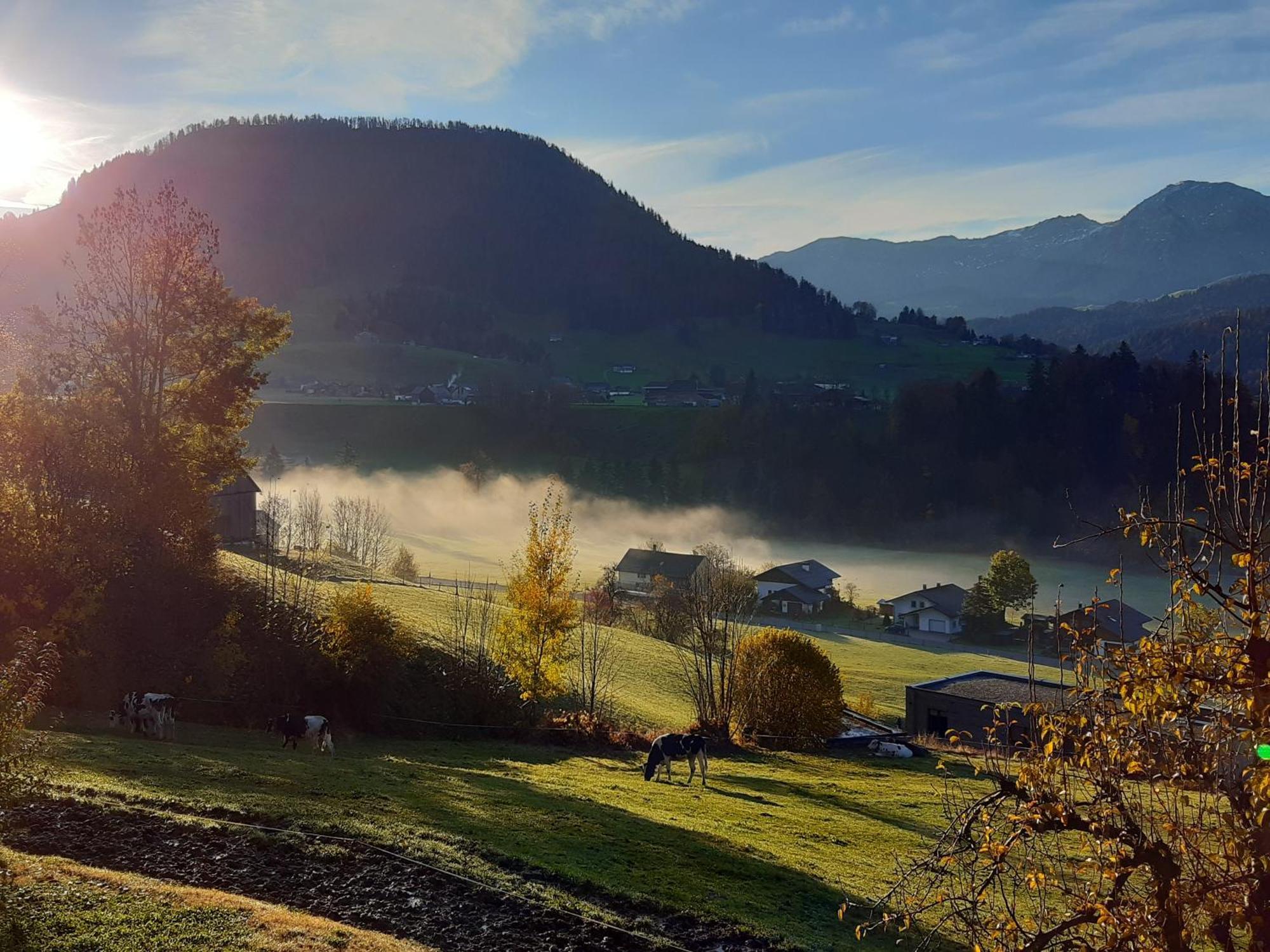 Ferienhof Dürlinde Hittisau Exterior foto